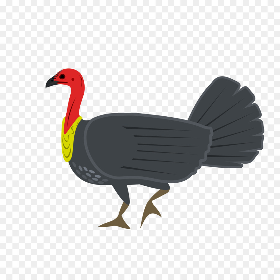 Turquie，Oiseau PNG