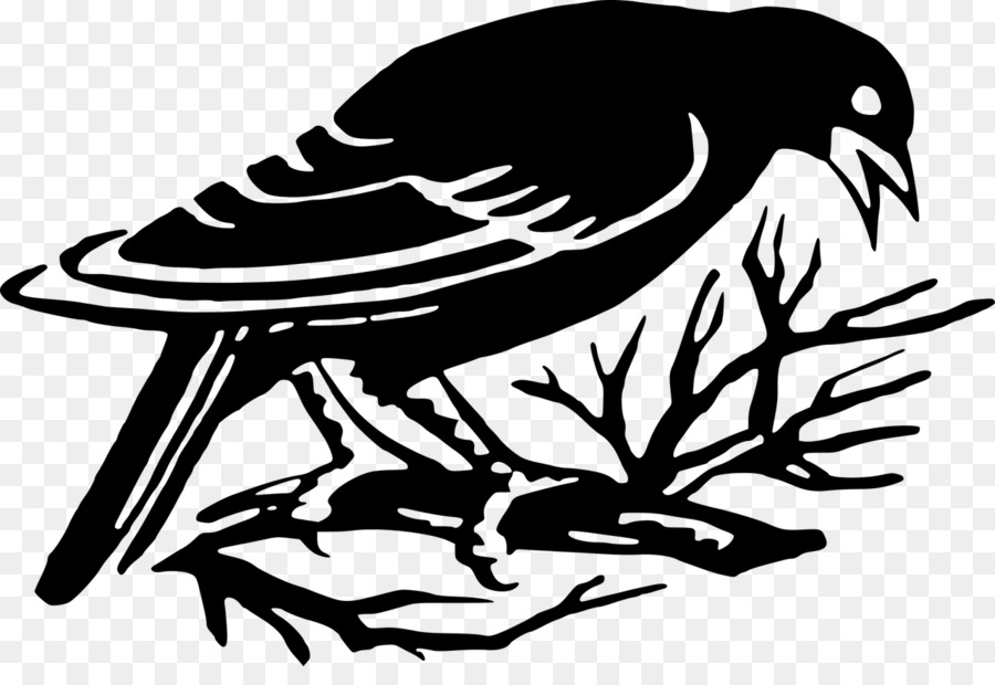 Oiseau，Silhouette PNG