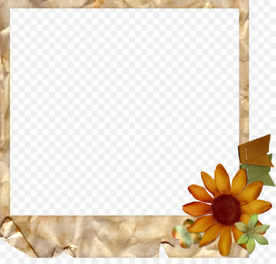 Cadre De Fleurs，Fleur PNG