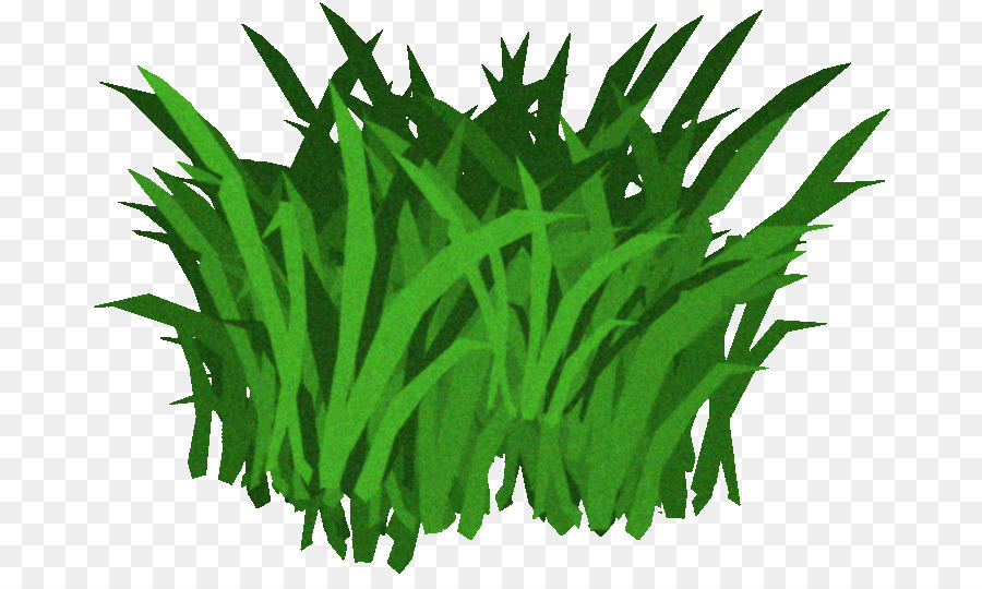 Herbe，Vert PNG