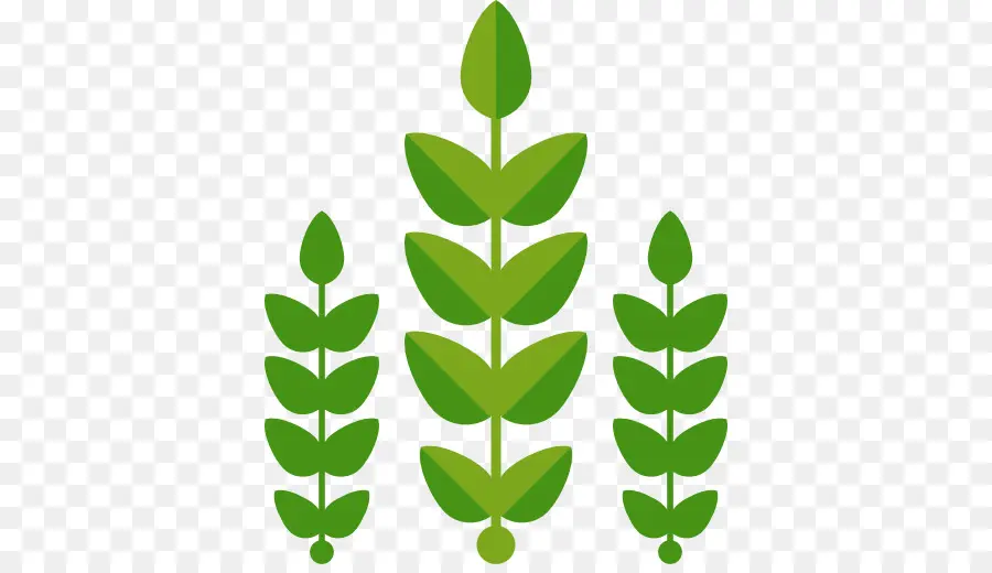 Plantes Vertes，Feuilles PNG