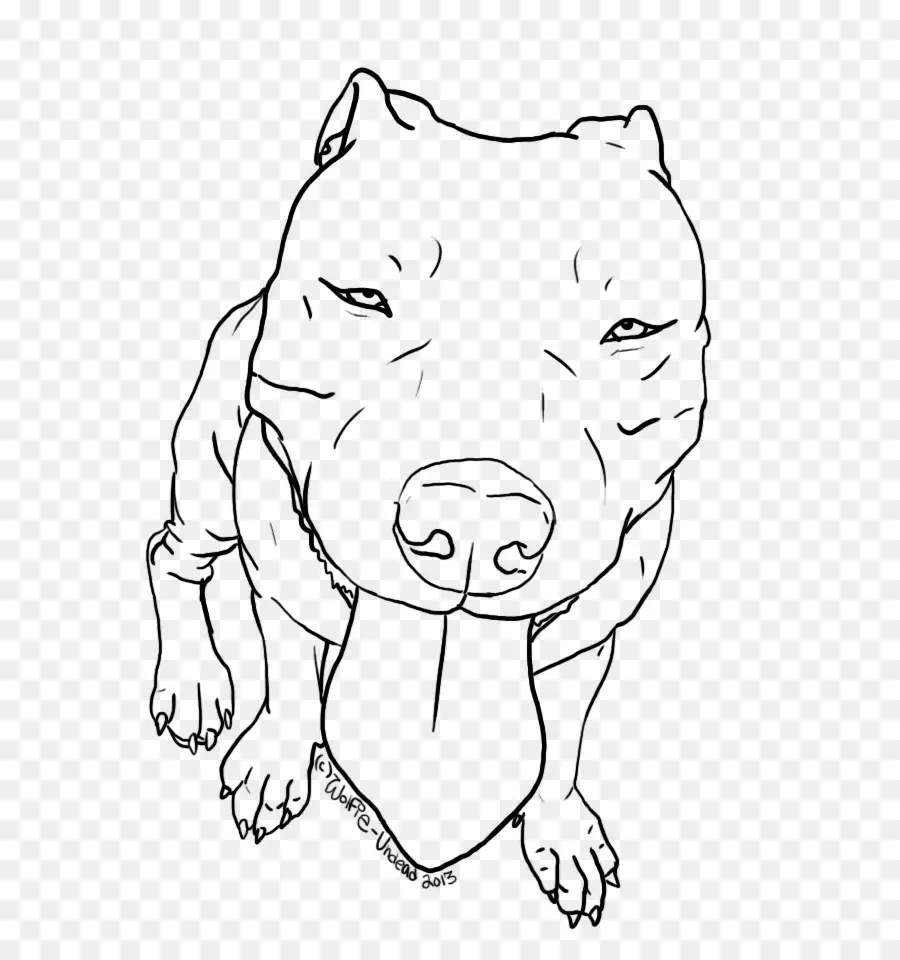 Chien，Animal De Compagnie PNG