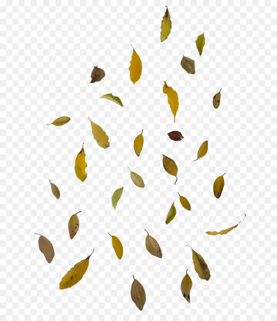 Feuilles Qui Tombent，Automne PNG