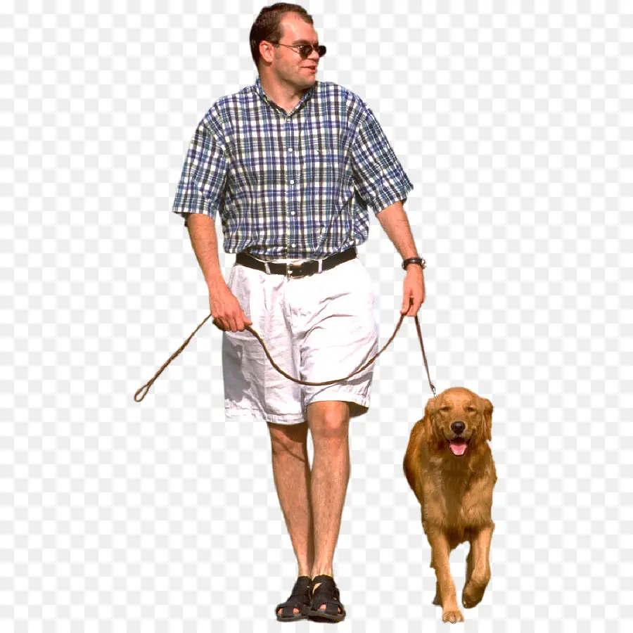 Homme Qui Promène Son Chien，Laisse PNG