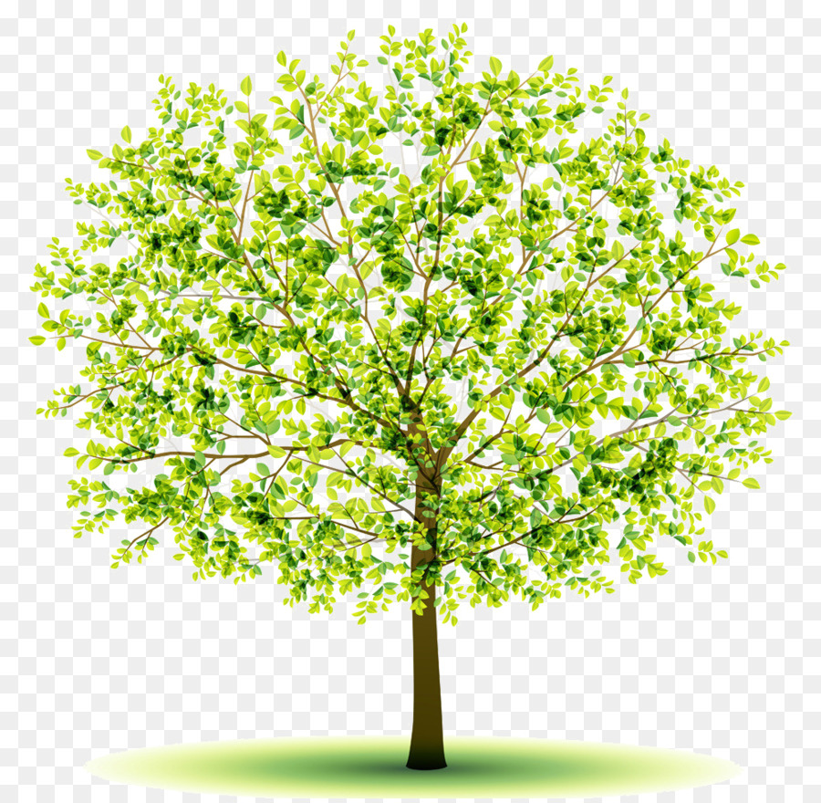 Arbre，La Créativité PNG