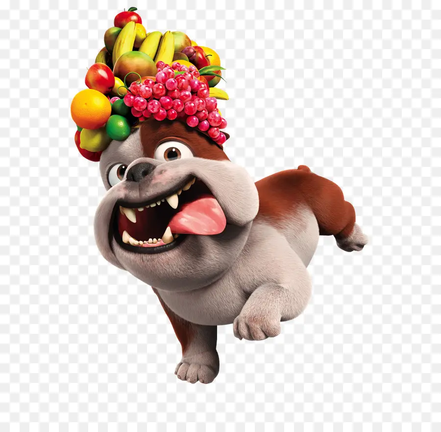 Bouledogue，Chapeau De Fruits PNG