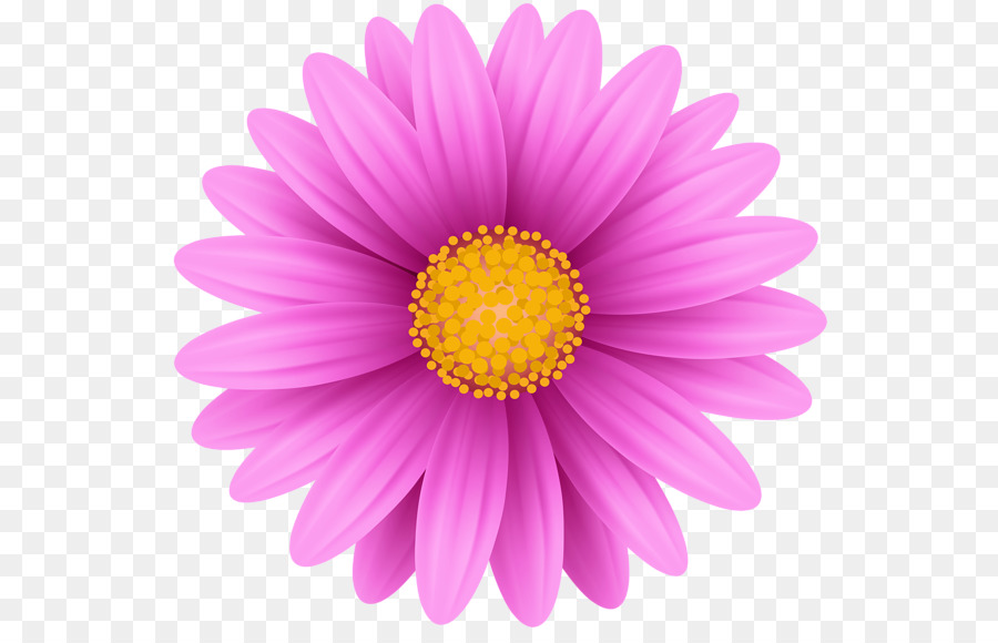 Fleur，Rose PNG