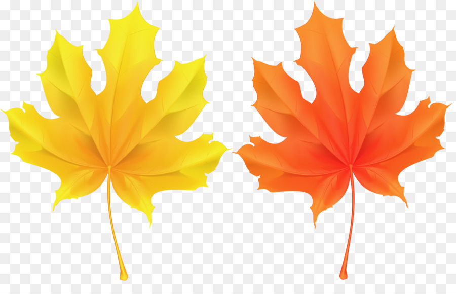 Feuille，Automne PNG