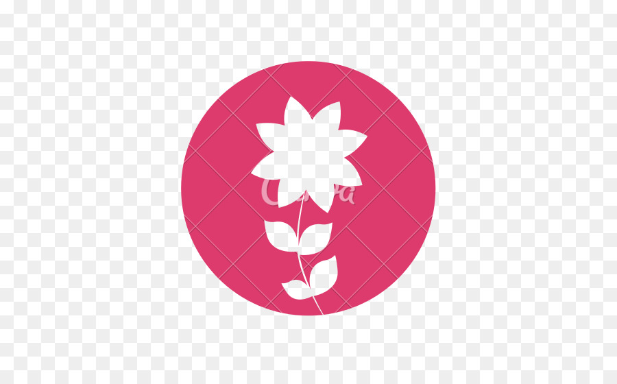 Frangipani，Fleur PNG