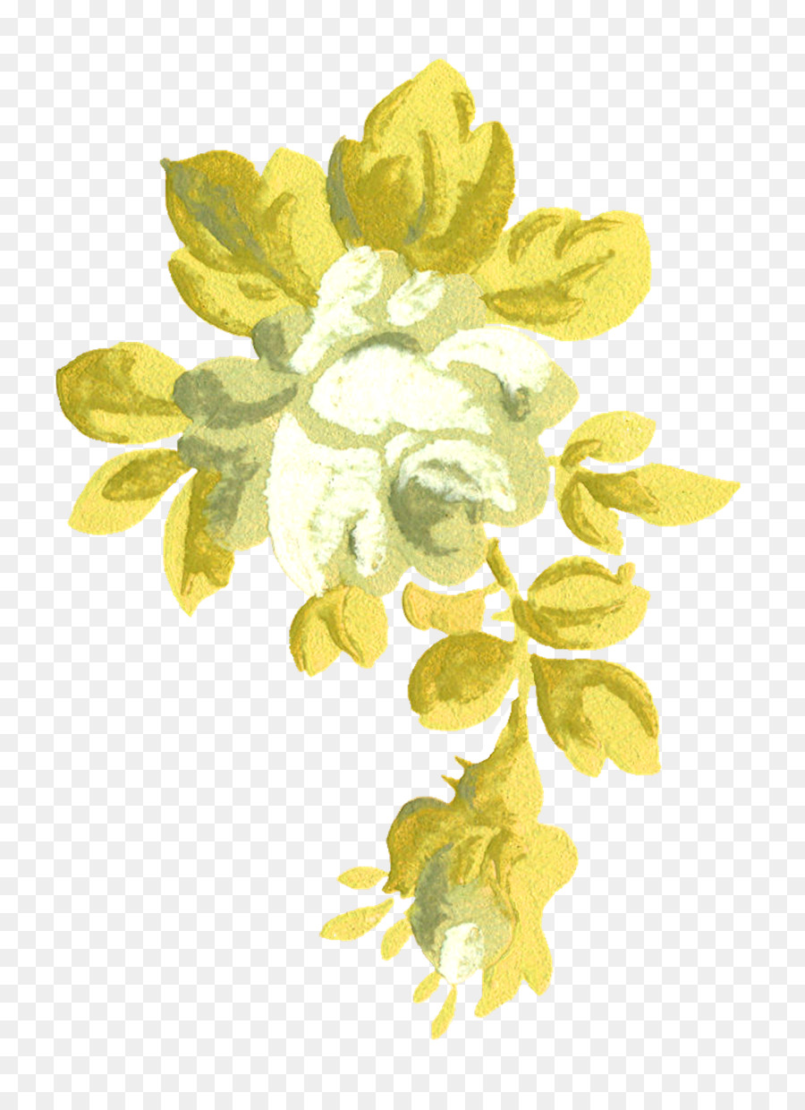 Fleur，Les Fleurs Coupées PNG