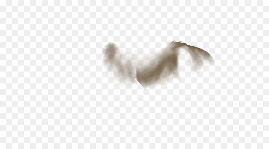 Chien，Blanc PNG