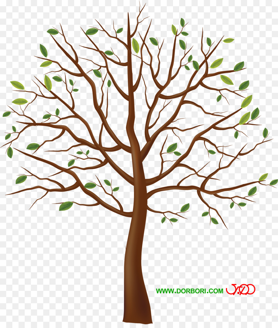 Arbre，Tronc PNG