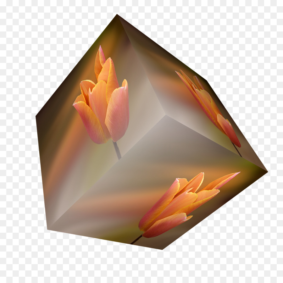 Fleur，Orange PNG