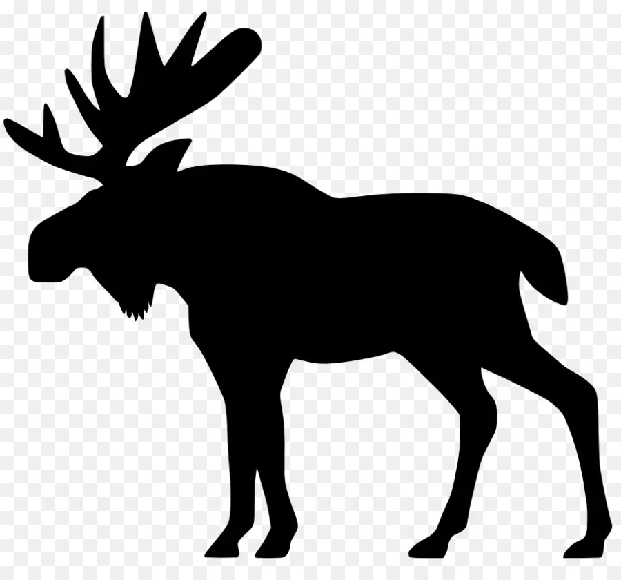 L Orignal，Elk PNG
