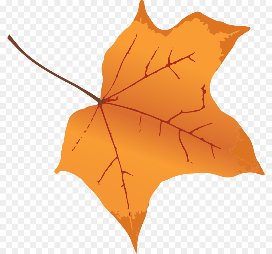 Feuille，Automne PNG