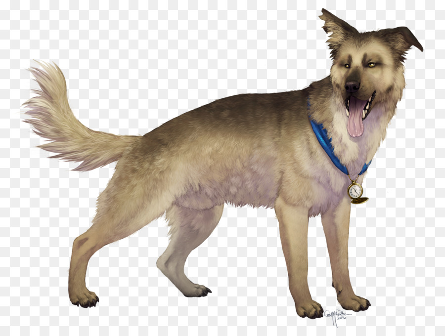 Chien，Animal De Compagnie PNG