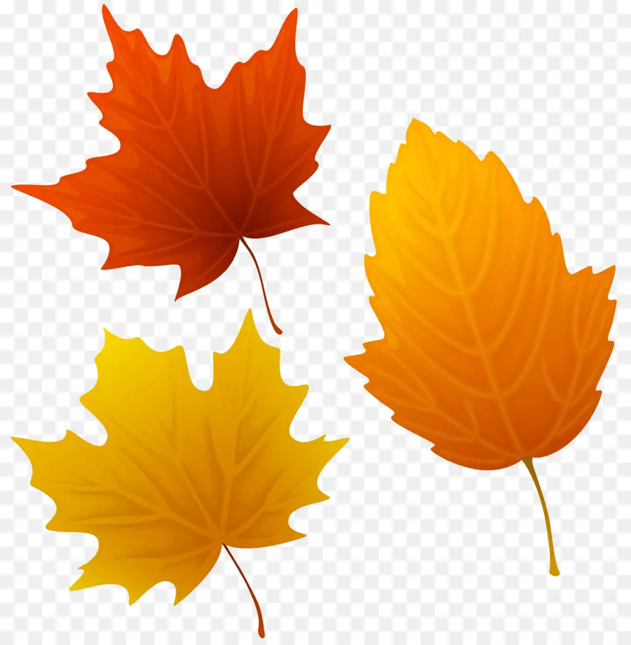 Feuilles，Automne PNG