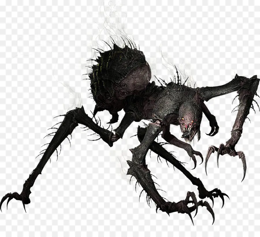 Araignée Sombre，Jambes PNG