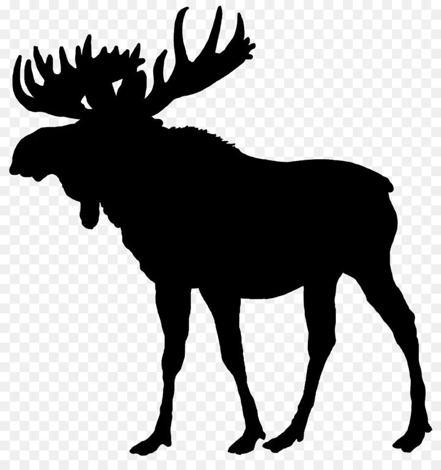 Silhouette De Cerf，Bois PNG