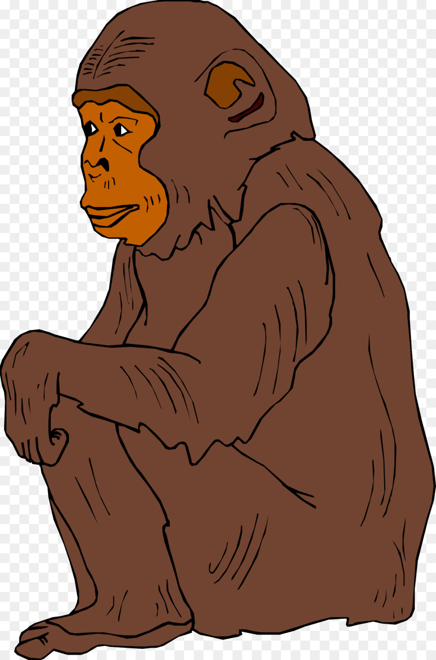 Chimpanzé，Singe PNG