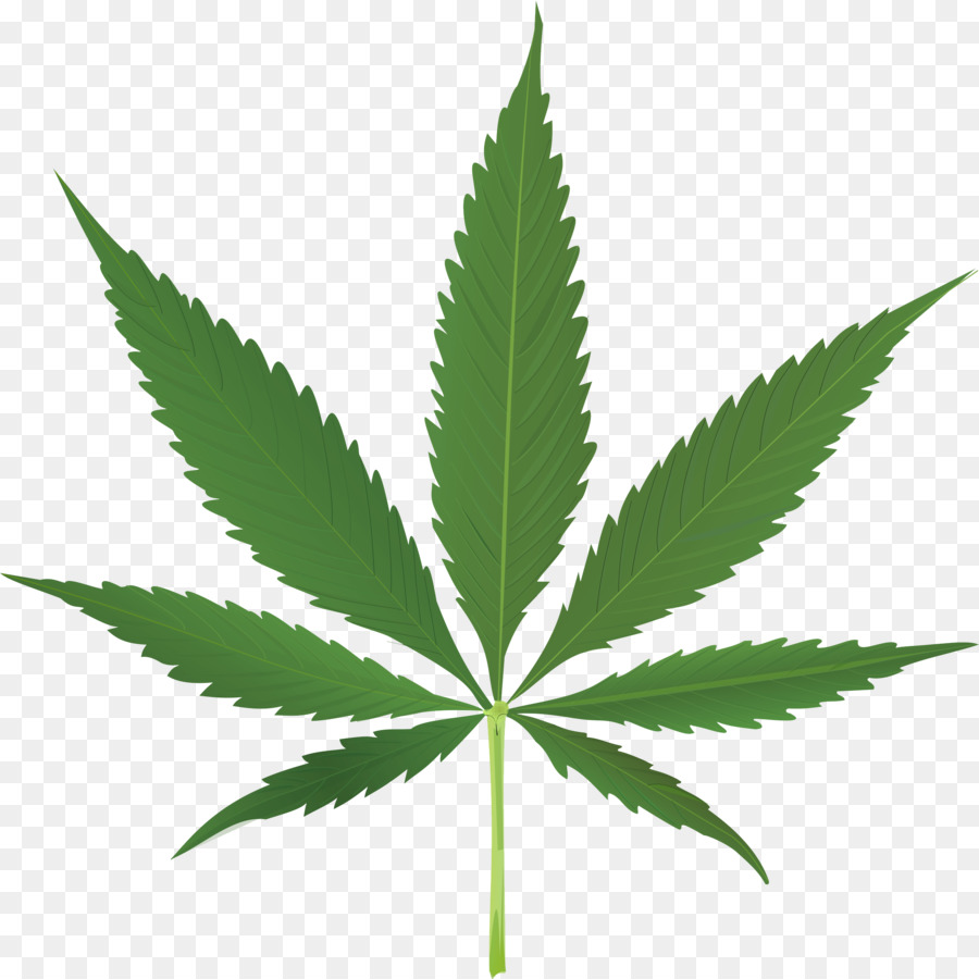 Feuille De Cannabis，Marijuana PNG