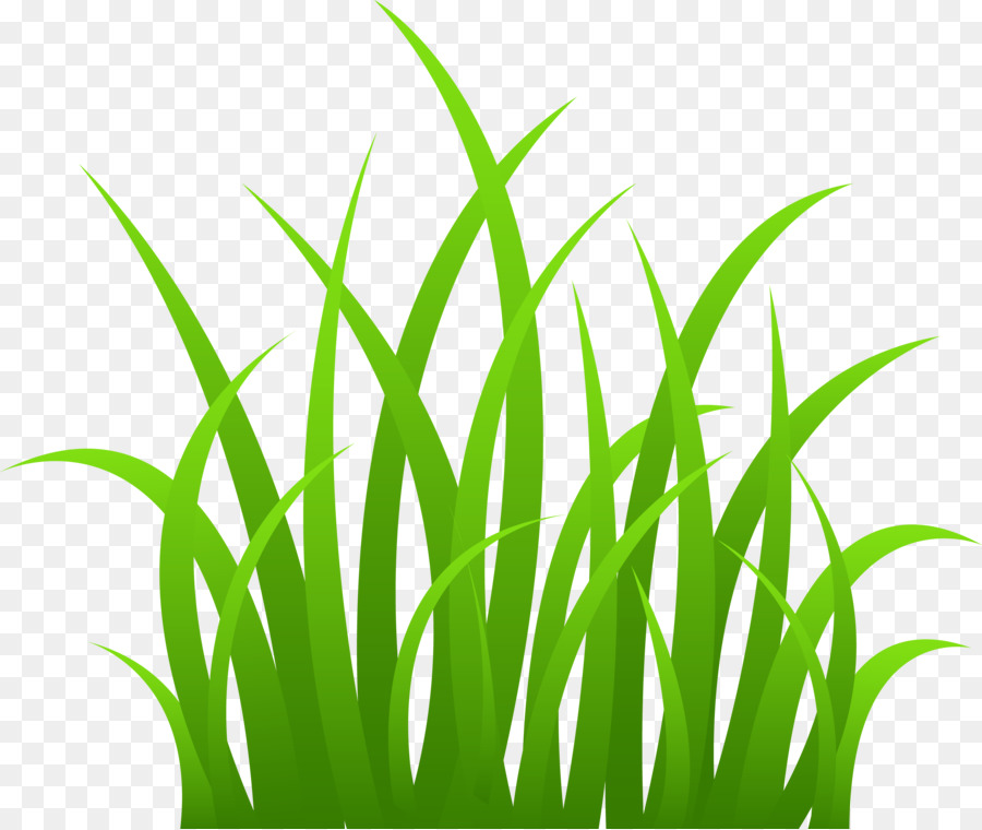 Herbe，Pelouse PNG