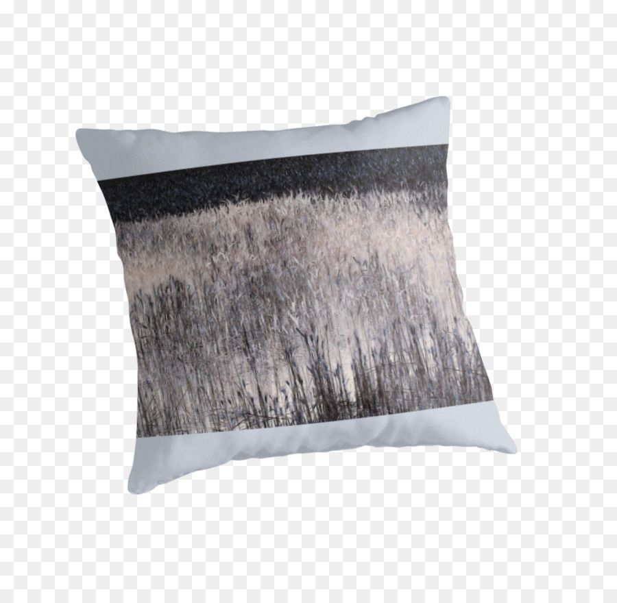 Oreiller Décoratif，Coussin PNG