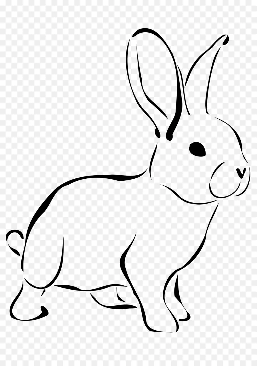 Lapin，Mignon PNG