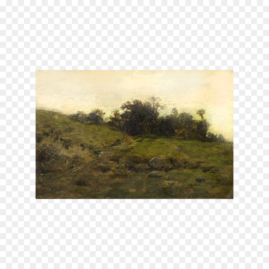 Prairie，Les Prairies PNG