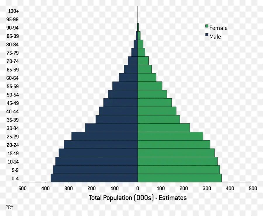 Pyramide Des âges，Données Démographiques PNG