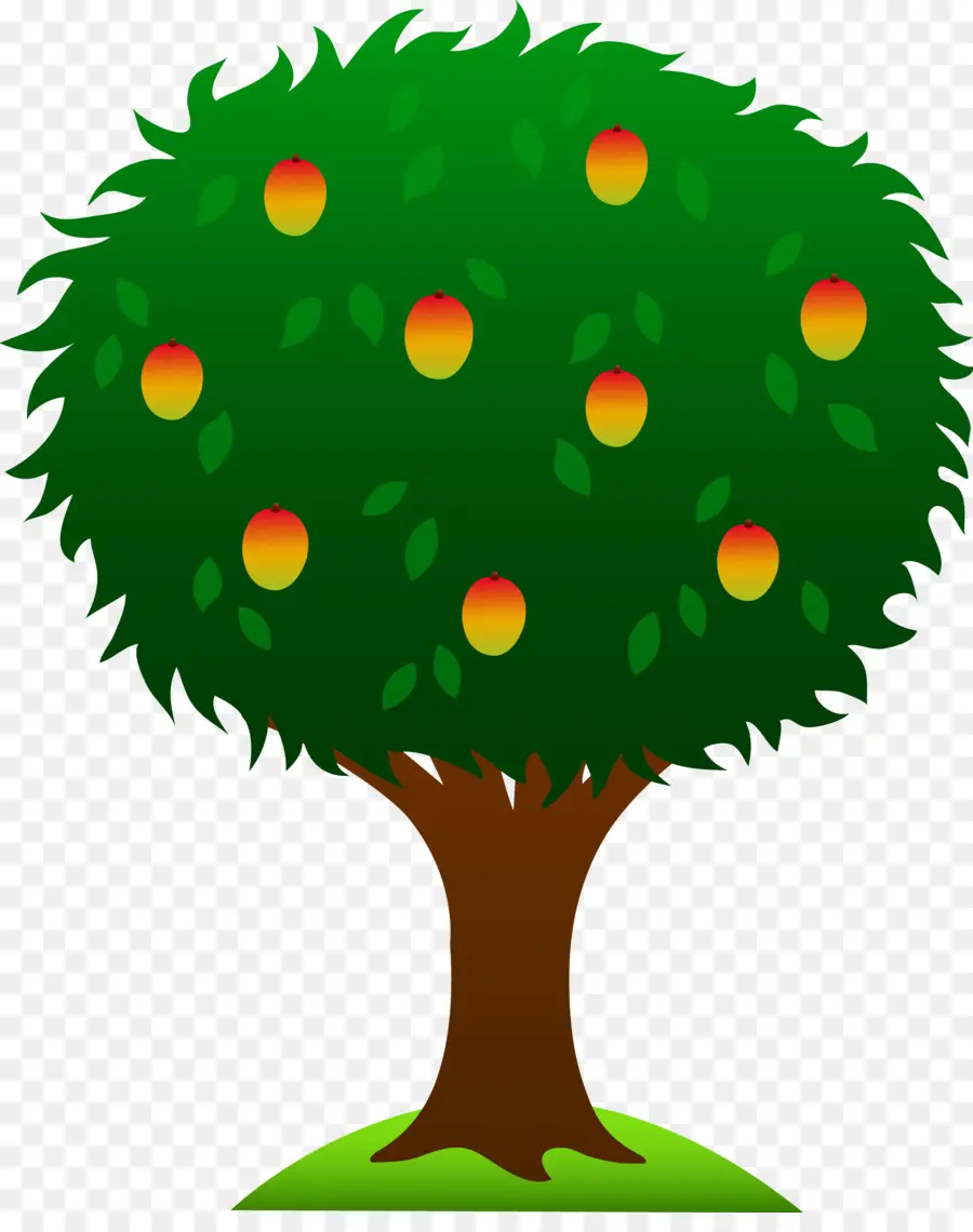 Citron，Arbre PNG