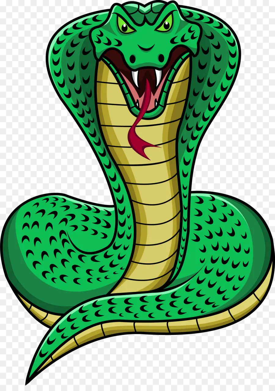 Serpent Vert，Reptile PNG