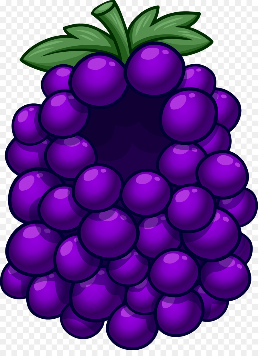 Raisins，Violet PNG