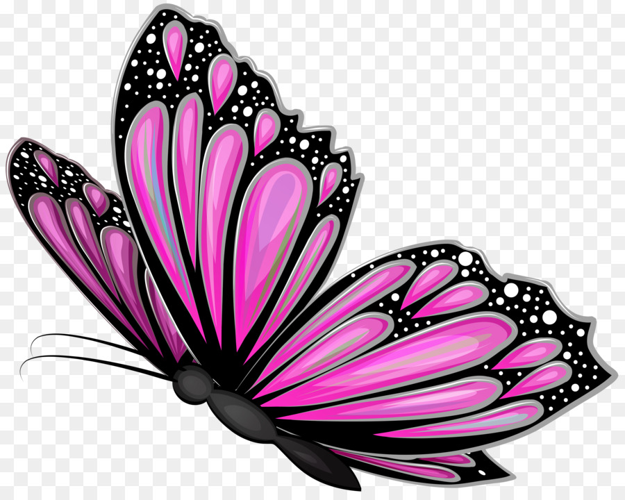 Papillon Rose，Insecte PNG