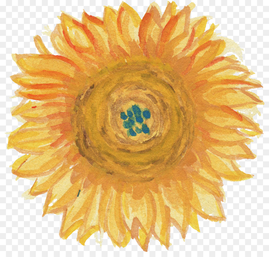 Tournesol Jaune，Fleur PNG