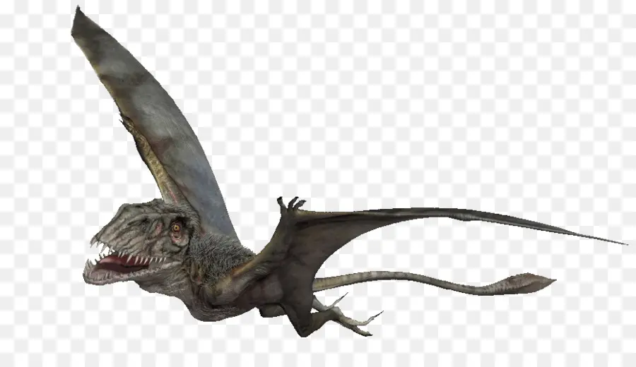 Dimorphodon，Pteranodon PNG