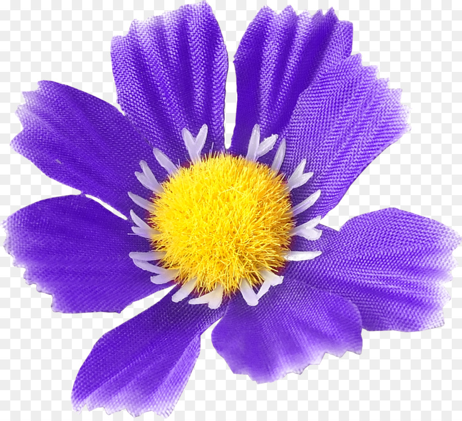 Fleur Violette，Fleurir PNG