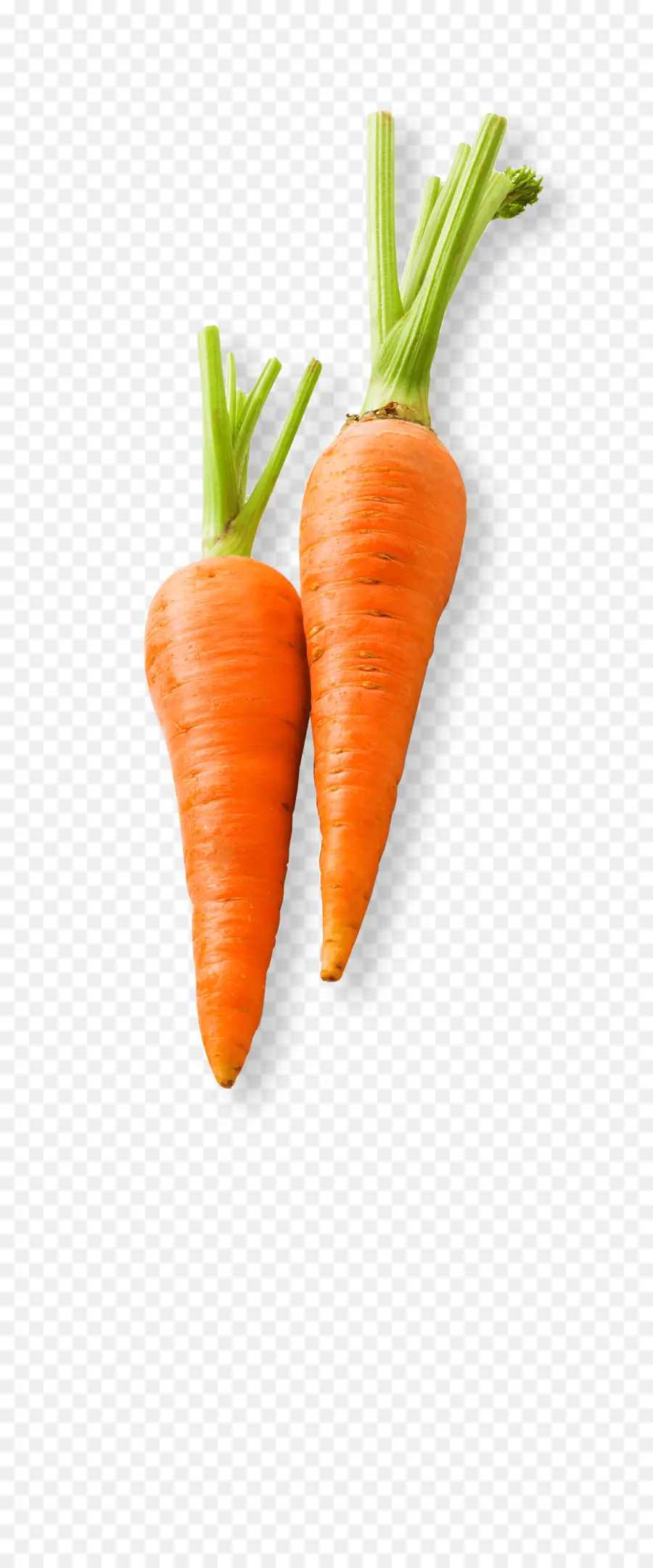 Carotte，Orange PNG