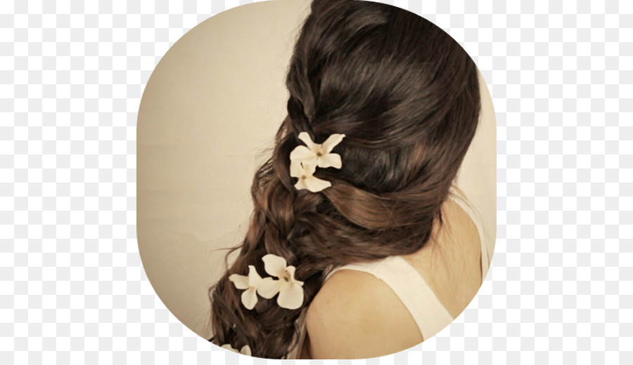 Coiffure，Chignon PNG