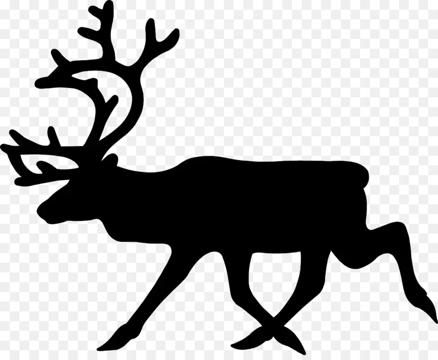 Silhouette De Cerf，Bois PNG