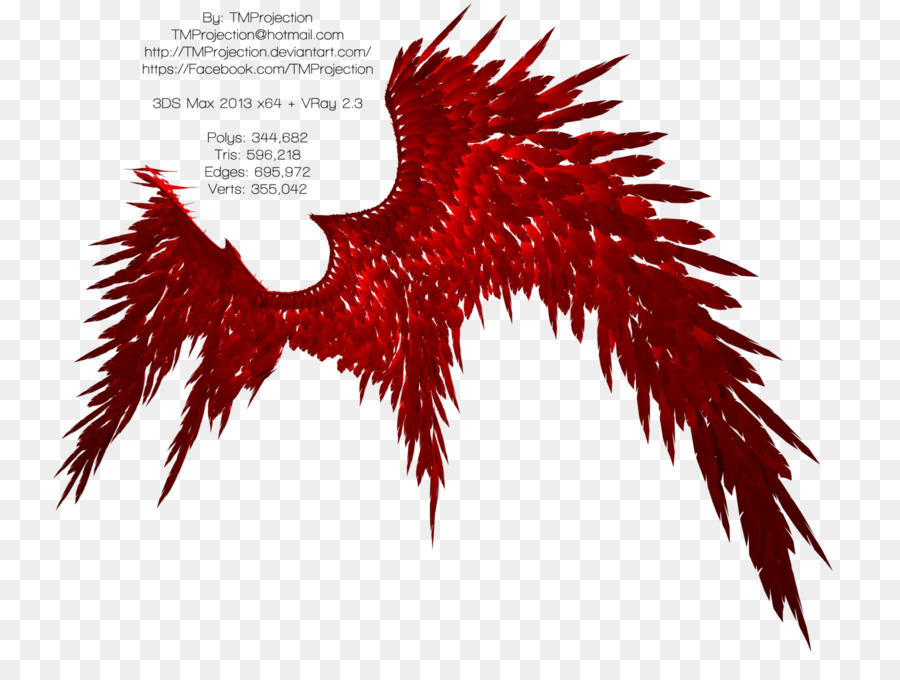 Ailes Rouges，Plumes PNG