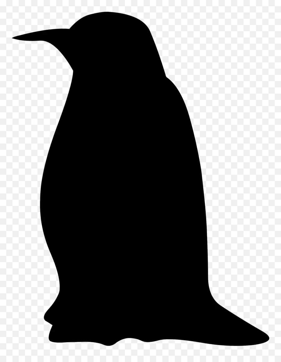 Silhouette De Pingouin，Noir PNG