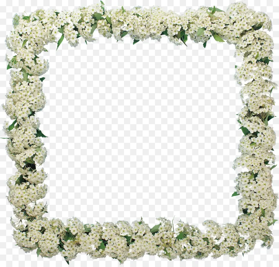 Cadre De Fleurs，Fleurs PNG