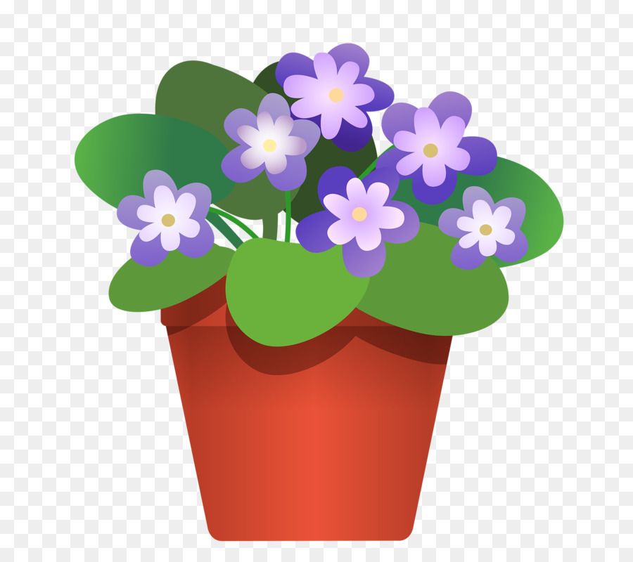 Flowerpot，Plante D Intérieur PNG