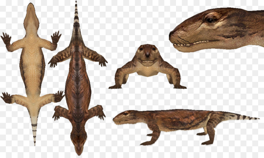 Thrinaxodon，Reptile PNG