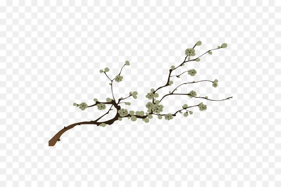 Branche De Fleurs，Bifurquer PNG