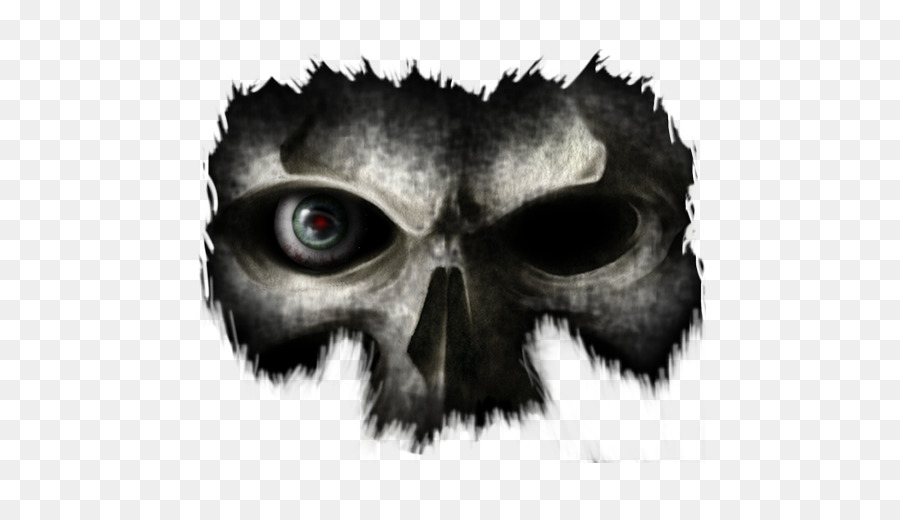 Calavera，Crâne PNG