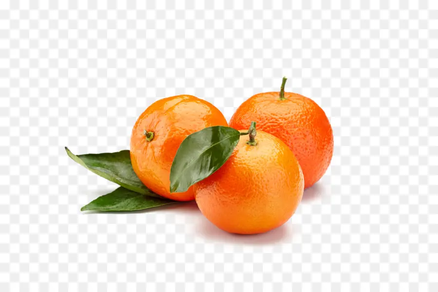 Oranges，Feuilles PNG