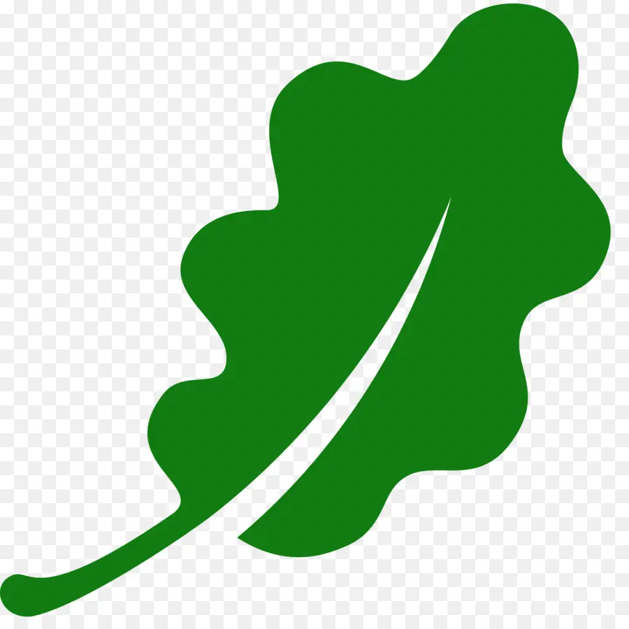 Feuille Verte，Usine PNG