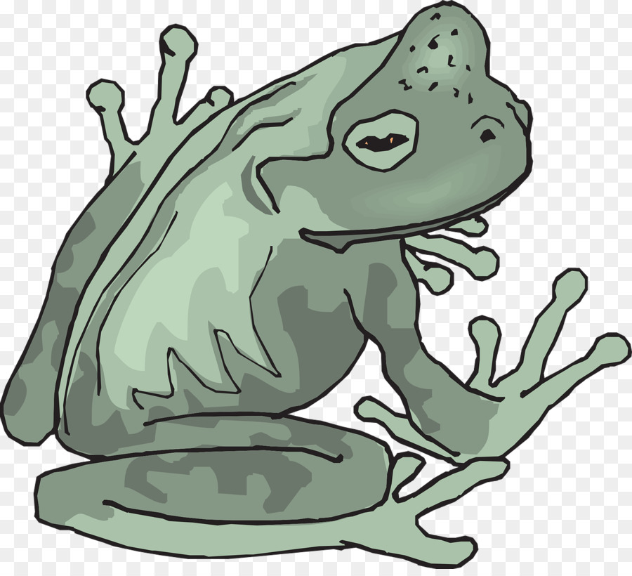 Grenouille Verte，Amphibie PNG